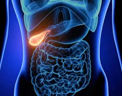Gallbladder Removal Surgery